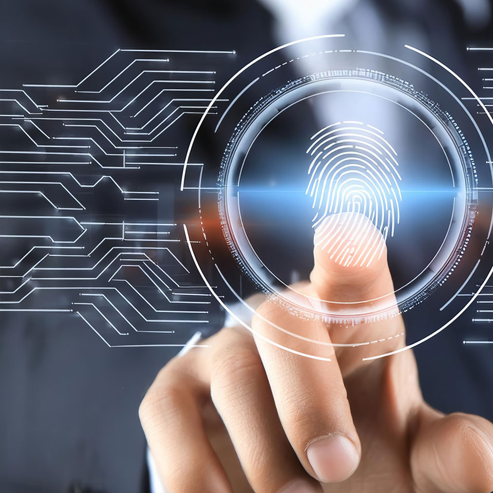 Zimmerer & Partner S4HANA Lizenzen